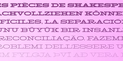 Larga Low Font Poster 2